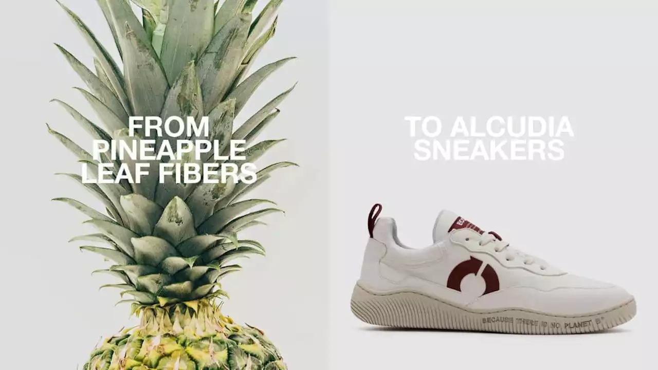 Ecoalf lanza sus zapatillas Alcudia elaboradas con fibra de piña