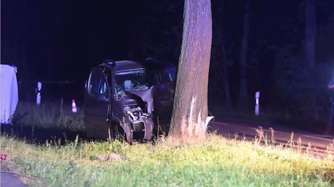 Treptow-Köpenick: Autofahrer stirbt am Adlergestell - Gegen Baum gekracht