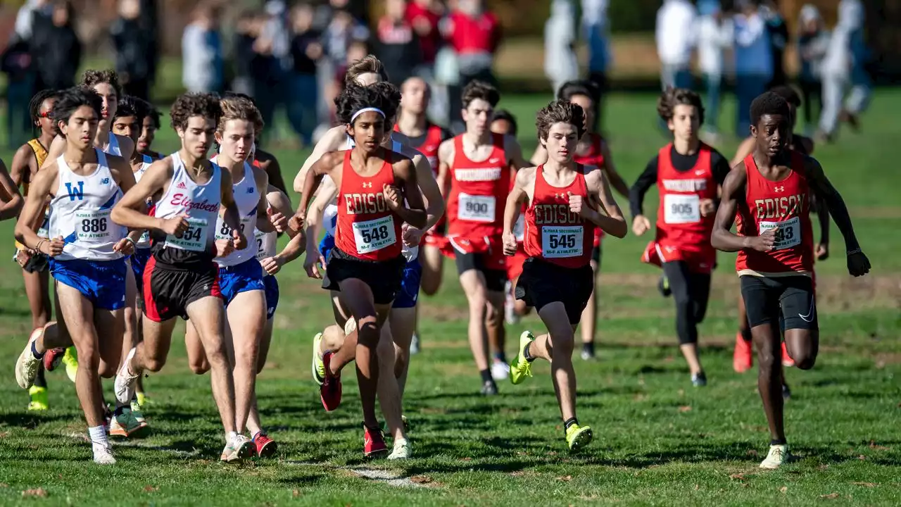 Cross-country preview, 2023: Top storylines heading into the season.