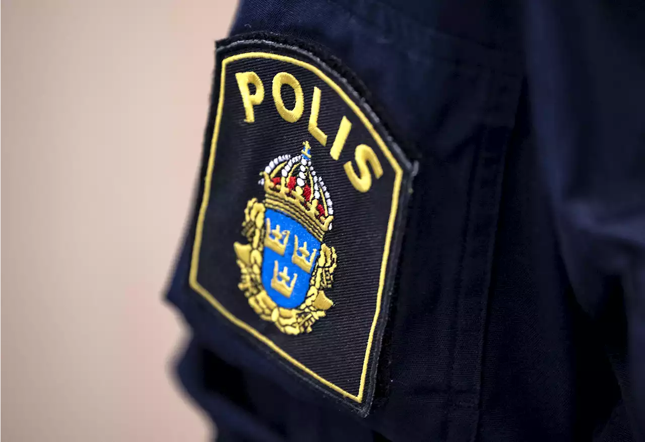 Kvinna överföll polis och slogs medvetslös