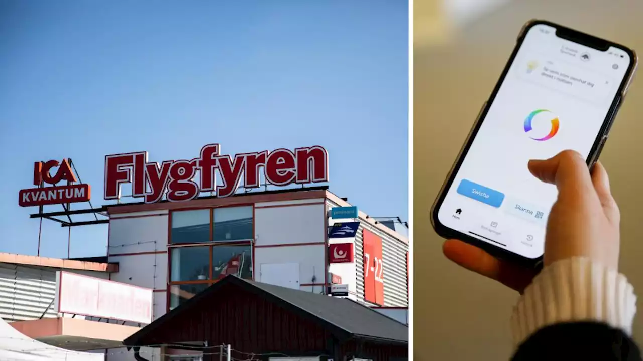 Roslagens sparbank räddade Flygis när systemet kraschade