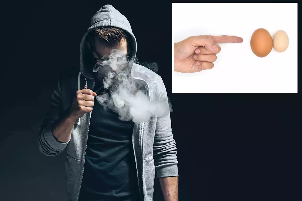 Vaping can shrink testicles, cause sperm counts to plummet: new research