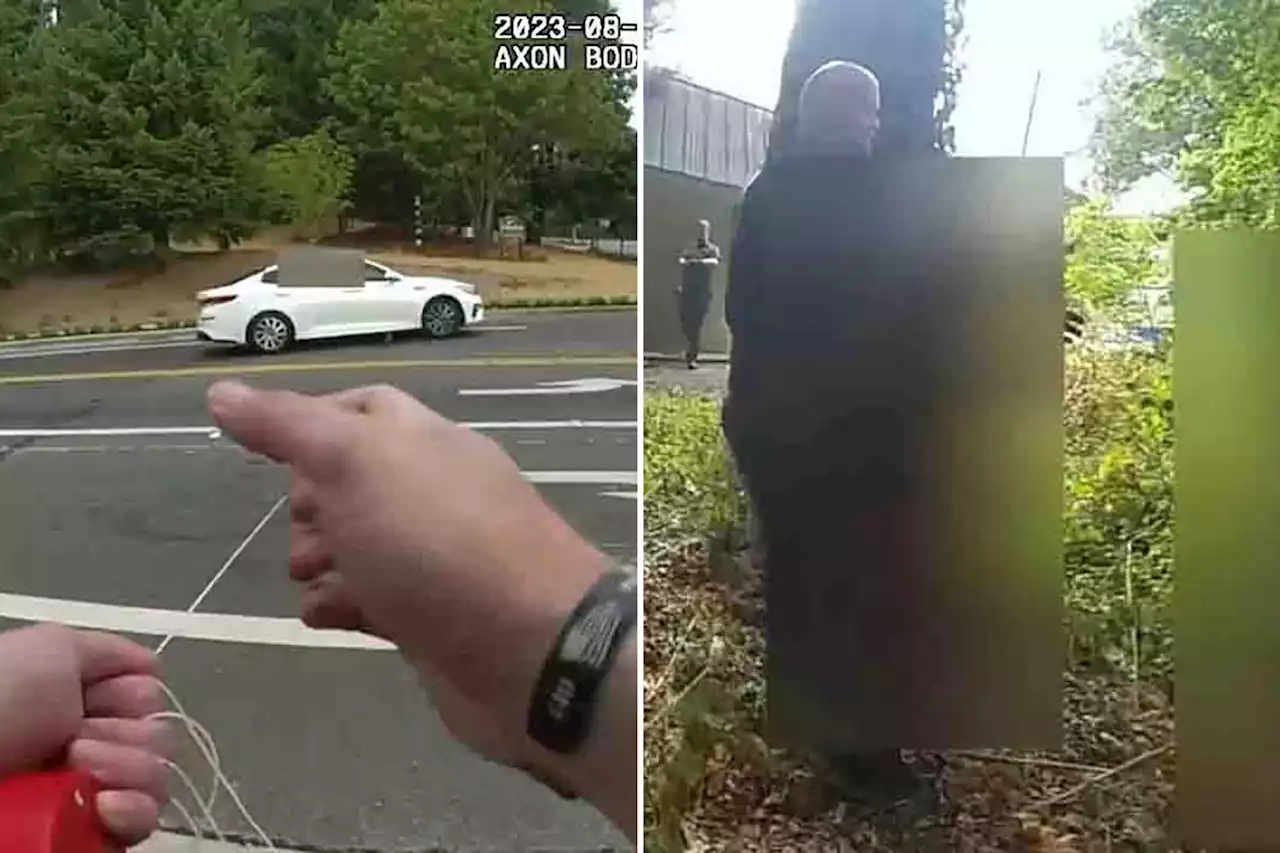 Washington police deputy barks like a dog to scare car thieves