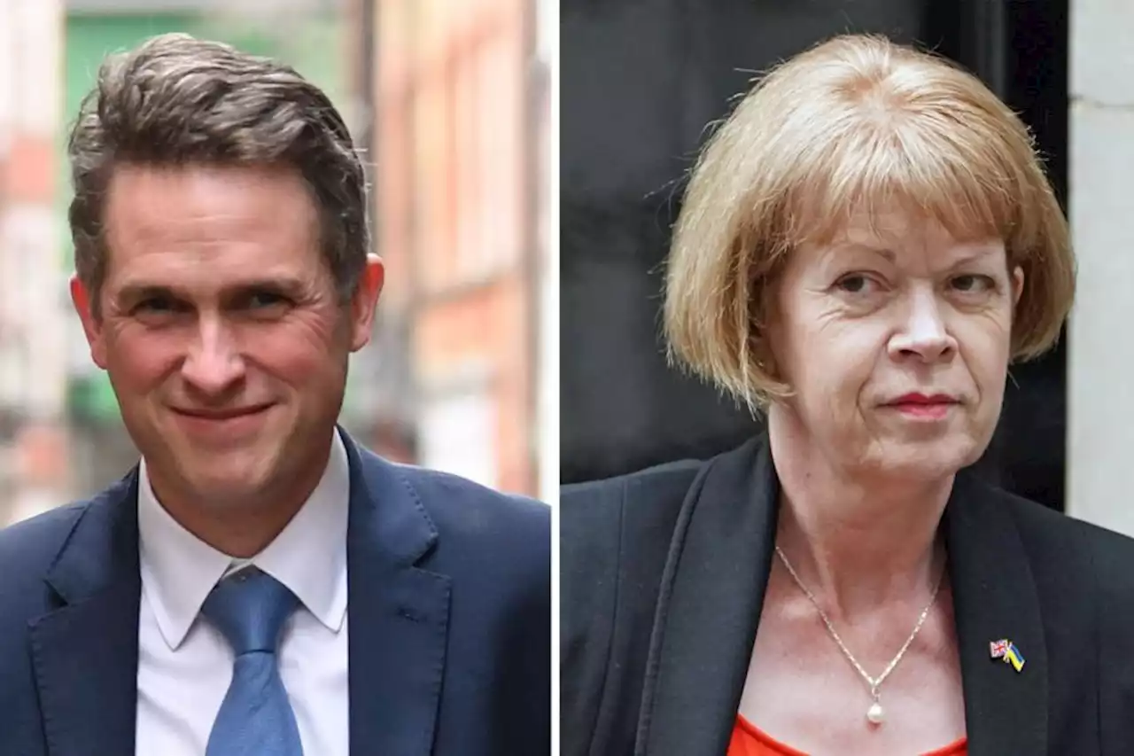 Gavin Williamson apologises to MPs for bullying former chief whip