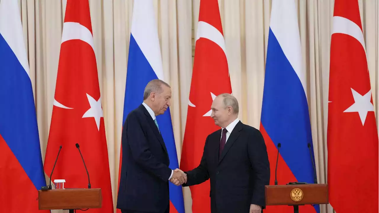 Putin-Erdogan, nessun passo avanti per l'accordo sul grano