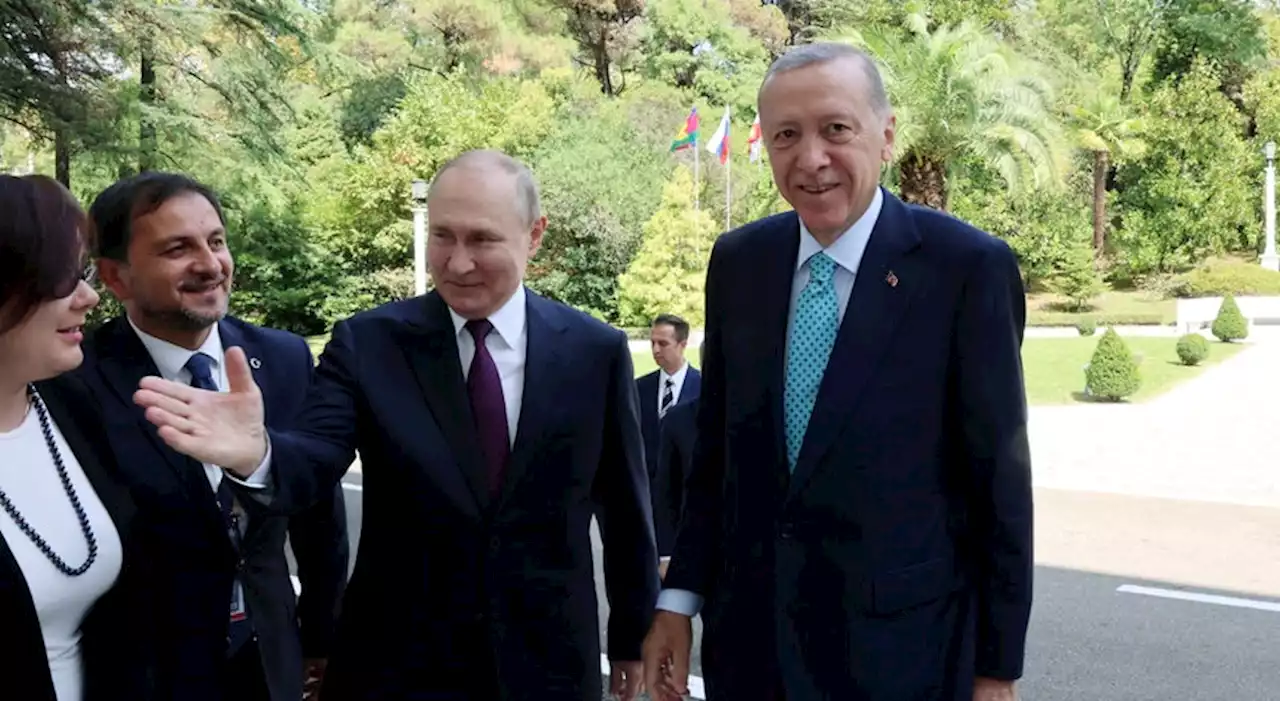 Encontro com Erdogan mostra aparente abertura de Putin para diálogo