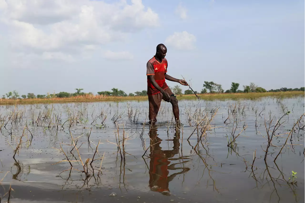 Africa Climate Summit opens with focus on financing, continental unity