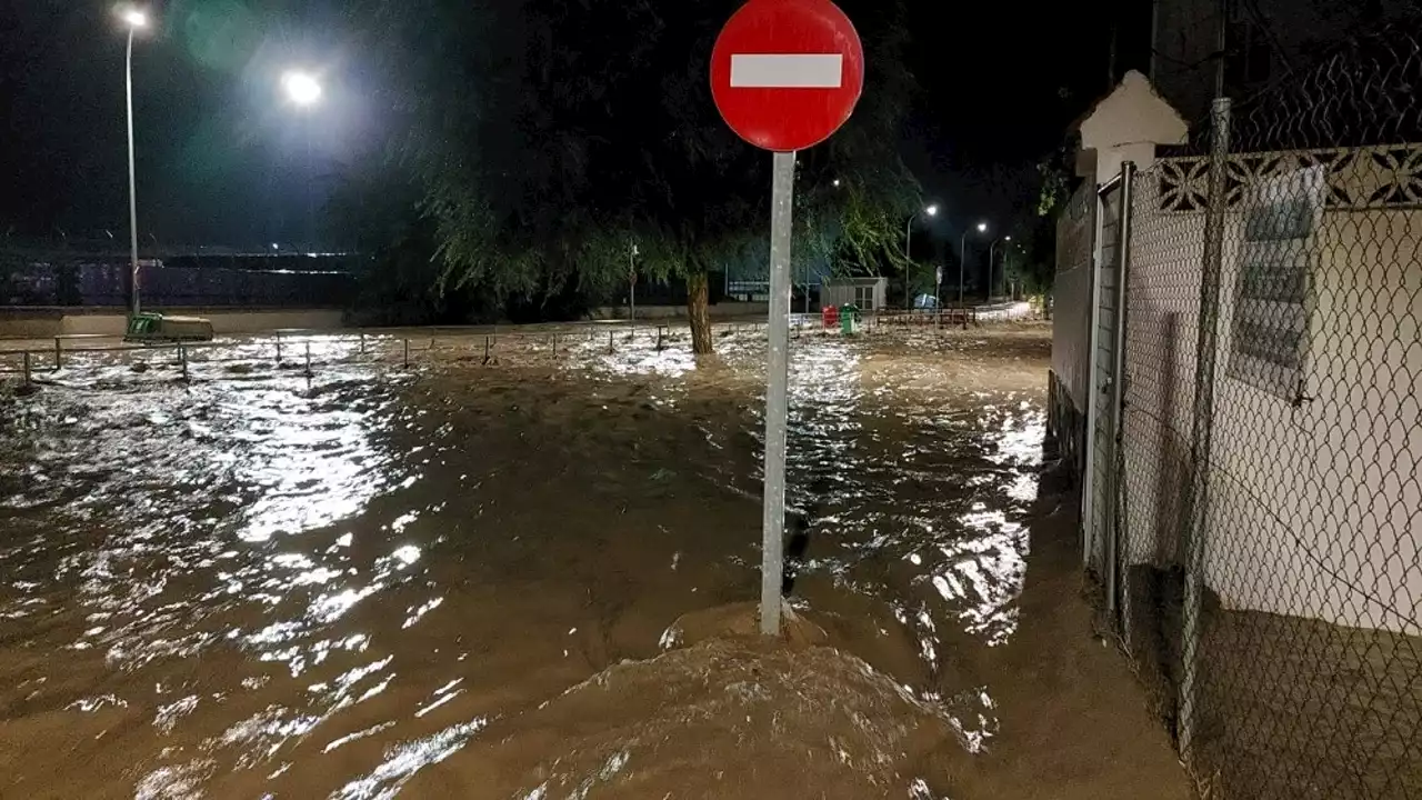 Localizan encaramado a un árbol al niño desaparecido junto a su padre en Aldea del Fresno (Madrid)