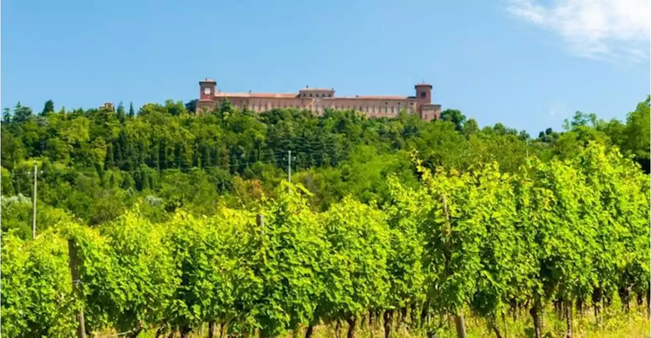 Vino, Masi sbarca nell’Oltrepò Pavese per produrre spumante