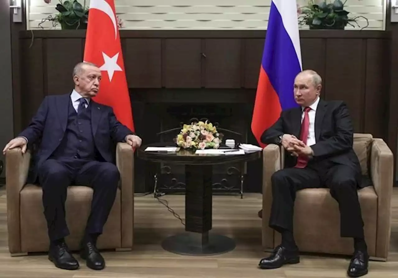 The Turkish president meets Putin with the aim of reviving the Ukraine grain export deal