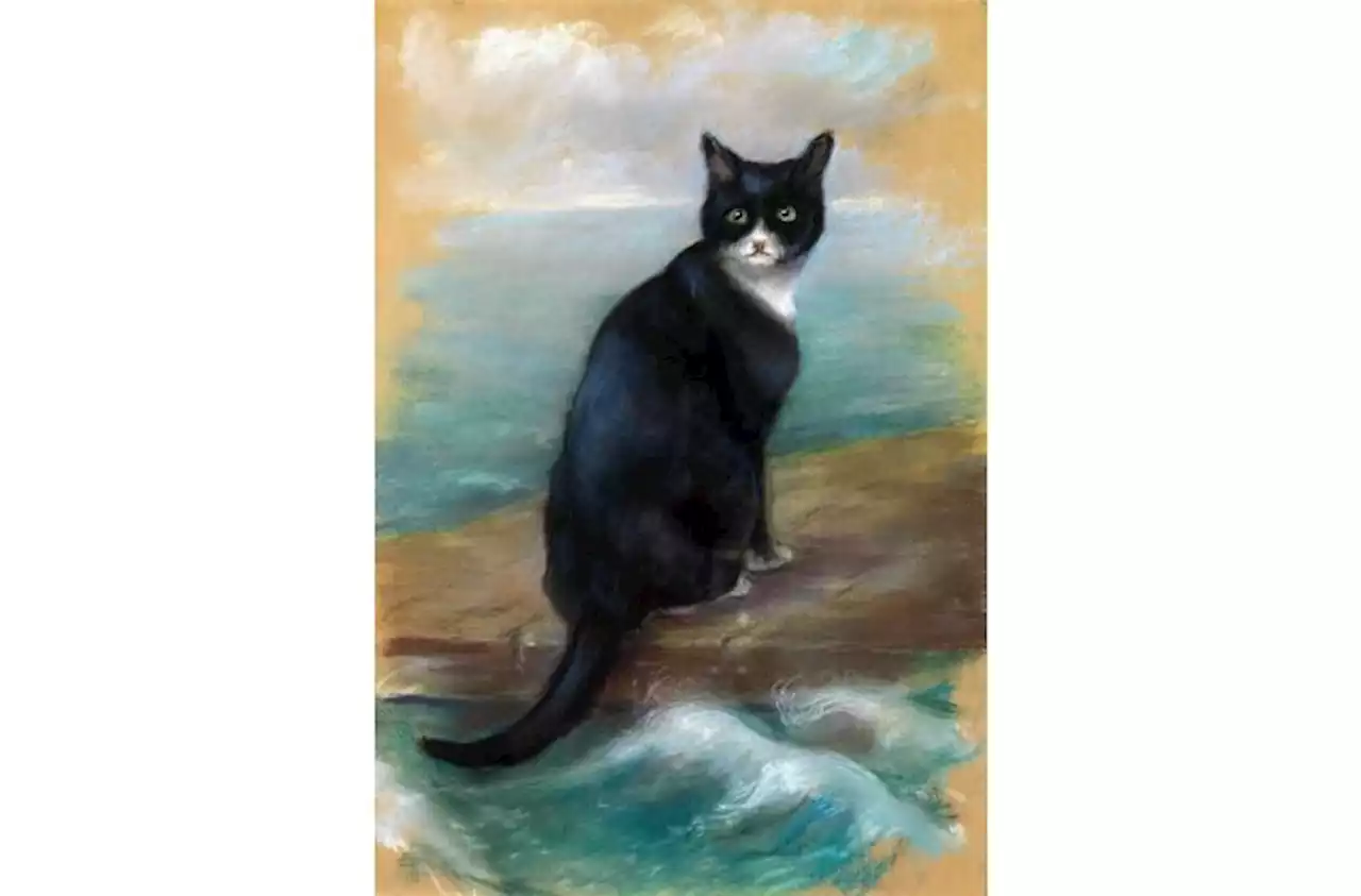 QuickCheck: Did a cat survive the sinking of three ships in WW2?