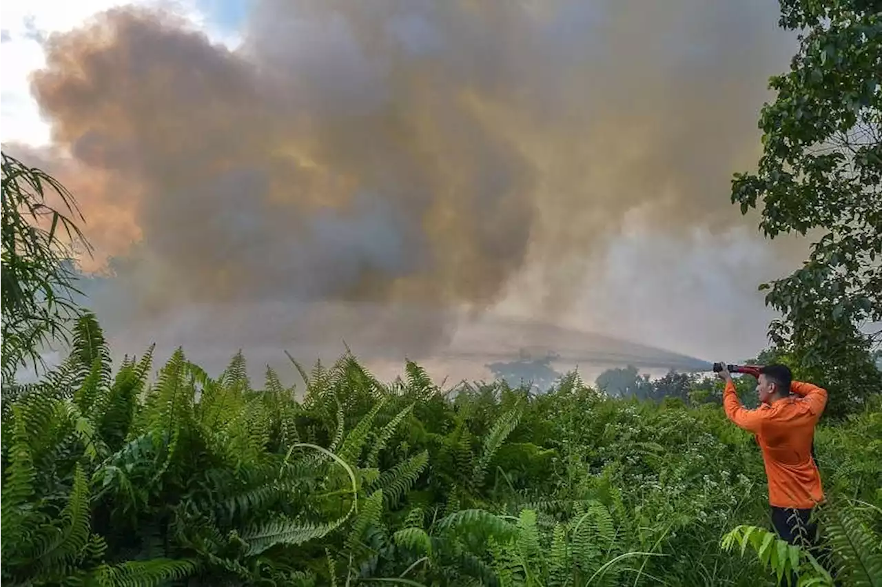 Indonesian regions brace for wildfires and haze as dry season peaks