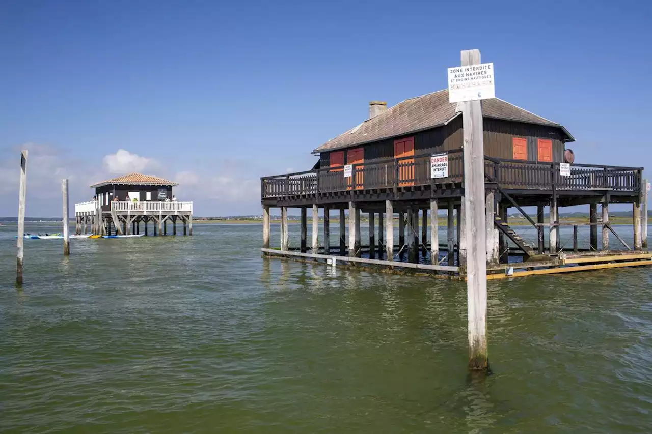 Vidéo. Loto du patrimoine 2023 : sur le bassin d’Arcachon, la « nouvelle » cabane tchanquée n°3 est lauréate