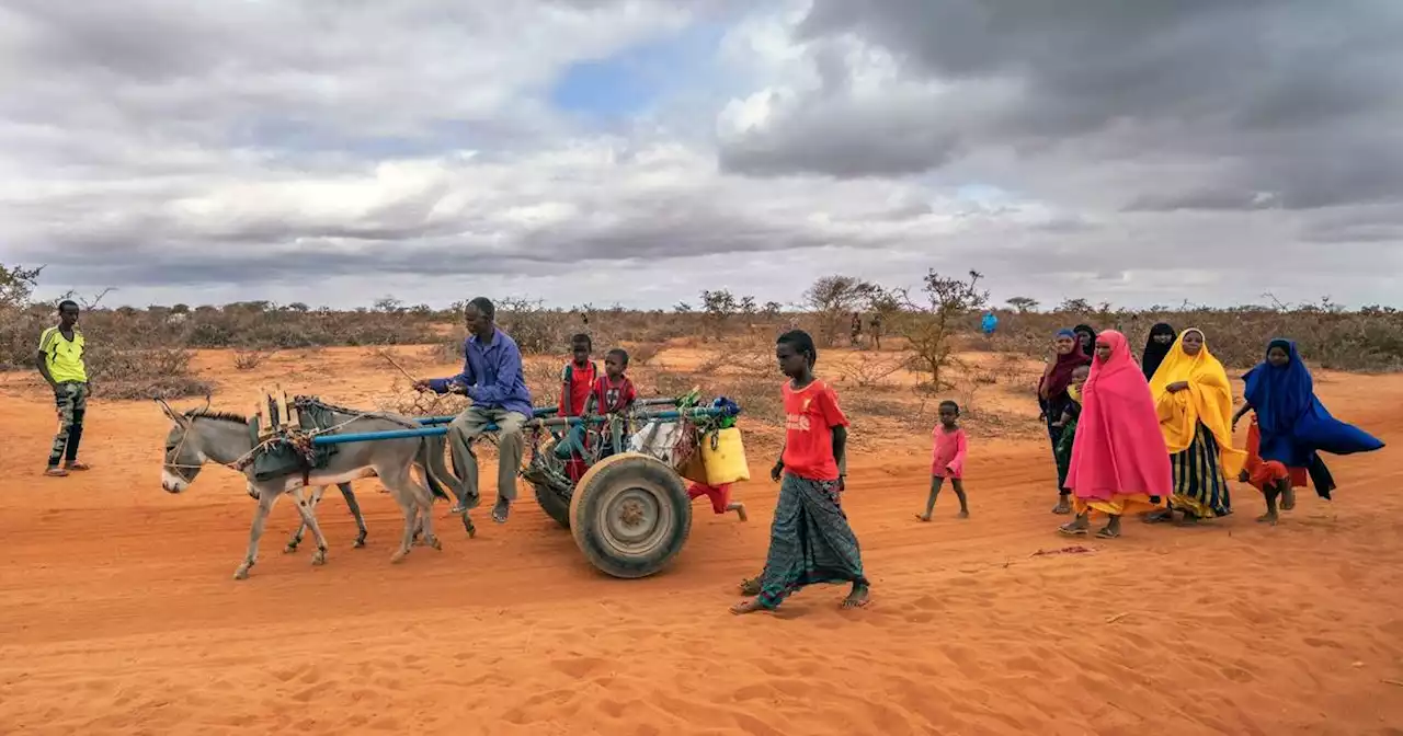 Kenia: Energiewende und Finanzen im Fokus bei Afrika-Klimagipfel