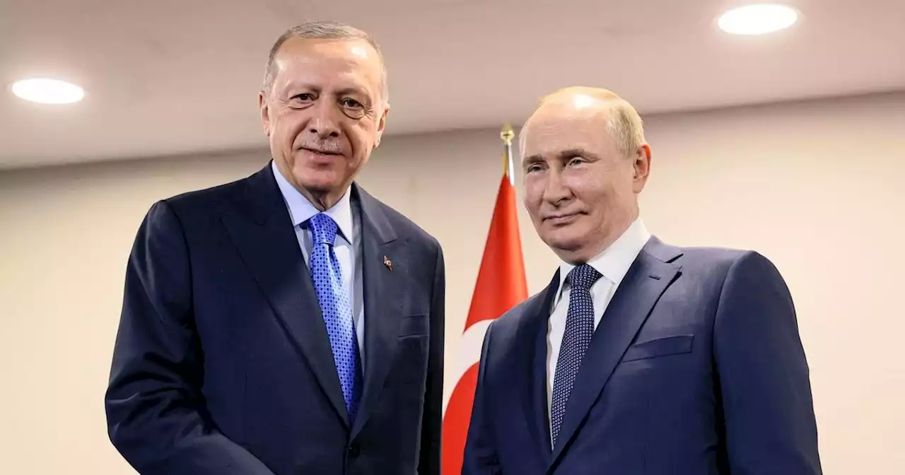 Lebensmittel: Putin und Erdogan treffen sich in Sotschi am Schwarzen Meer