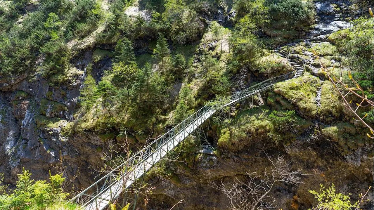 Mann schlägt neben anderen Wanderern auf: 65-Jähriger stirbt bei Sturz aus mehr als 150 Metern in den bayerischen Alpen