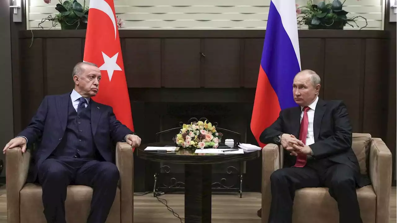 Was wird aus dem Getreideabkommen?: Erdogan will nach Treffen mit Putin „sehr wichtige“ Ankündigung machen