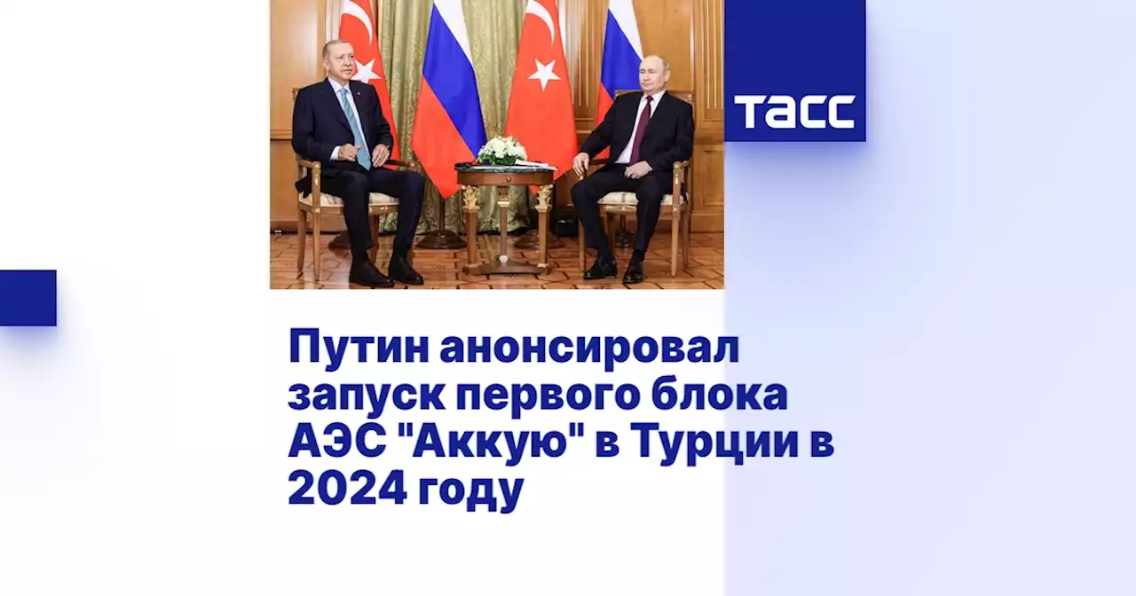 Путин анонсировал запуск первого блока АЭС 'Аккую' в Турции в 2024 году