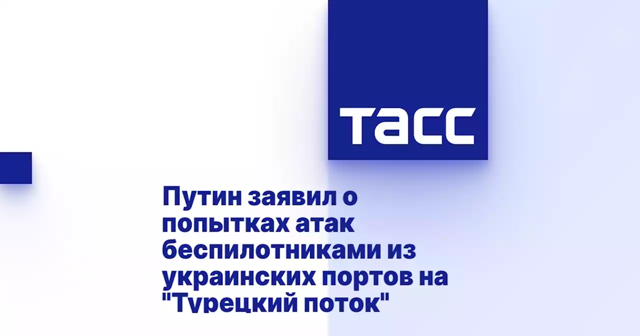 Путин заявил о попытках атак беспилотниками из украинских портов на 'Турецкий поток'