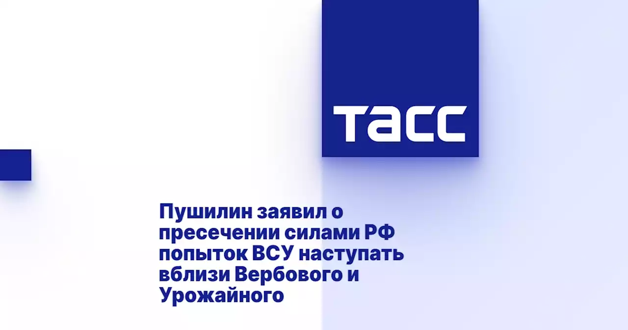 Пушилин заявил о пресечении силами РФ попыток ВСУ наступать вблизи Вербового и Урожайного