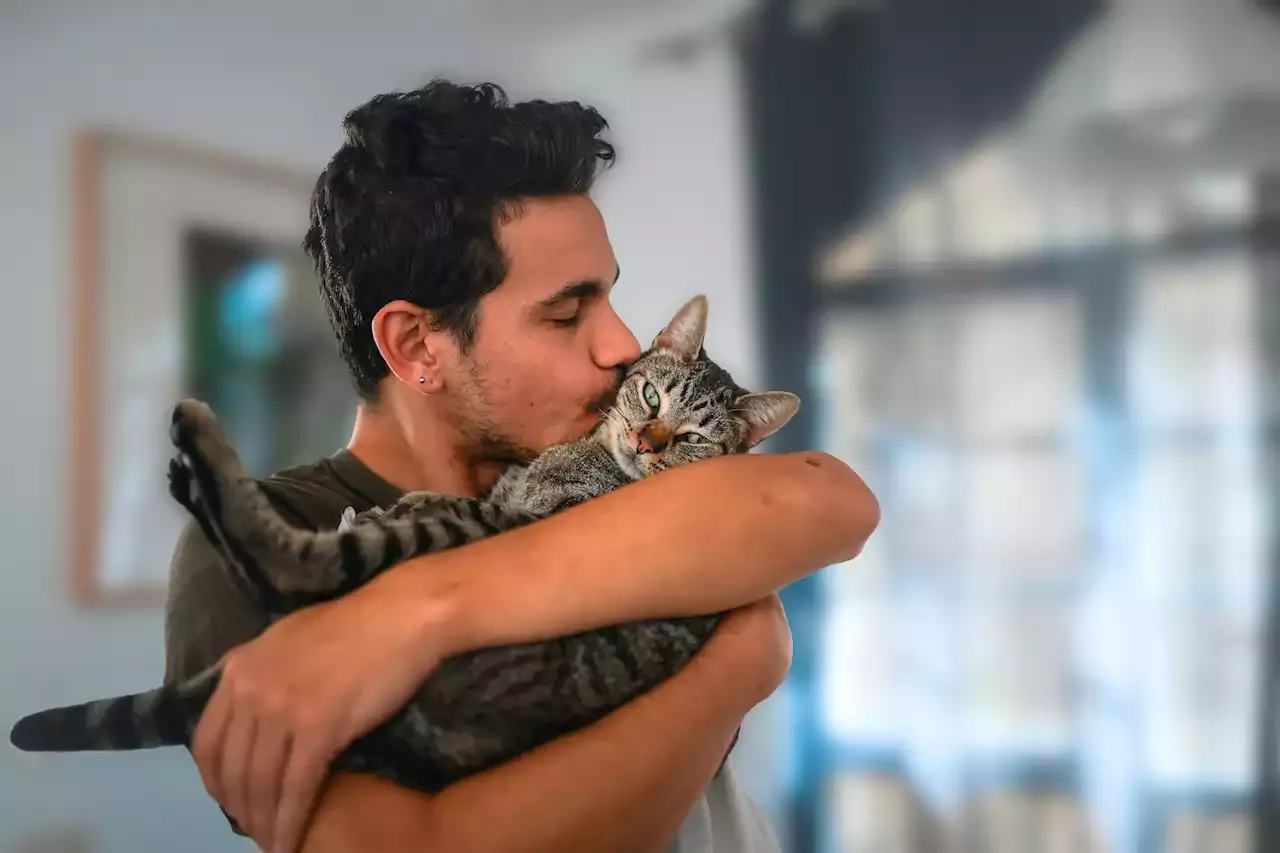 Is it okay to kiss your pet? The risk of animal-borne diseases is small, but real