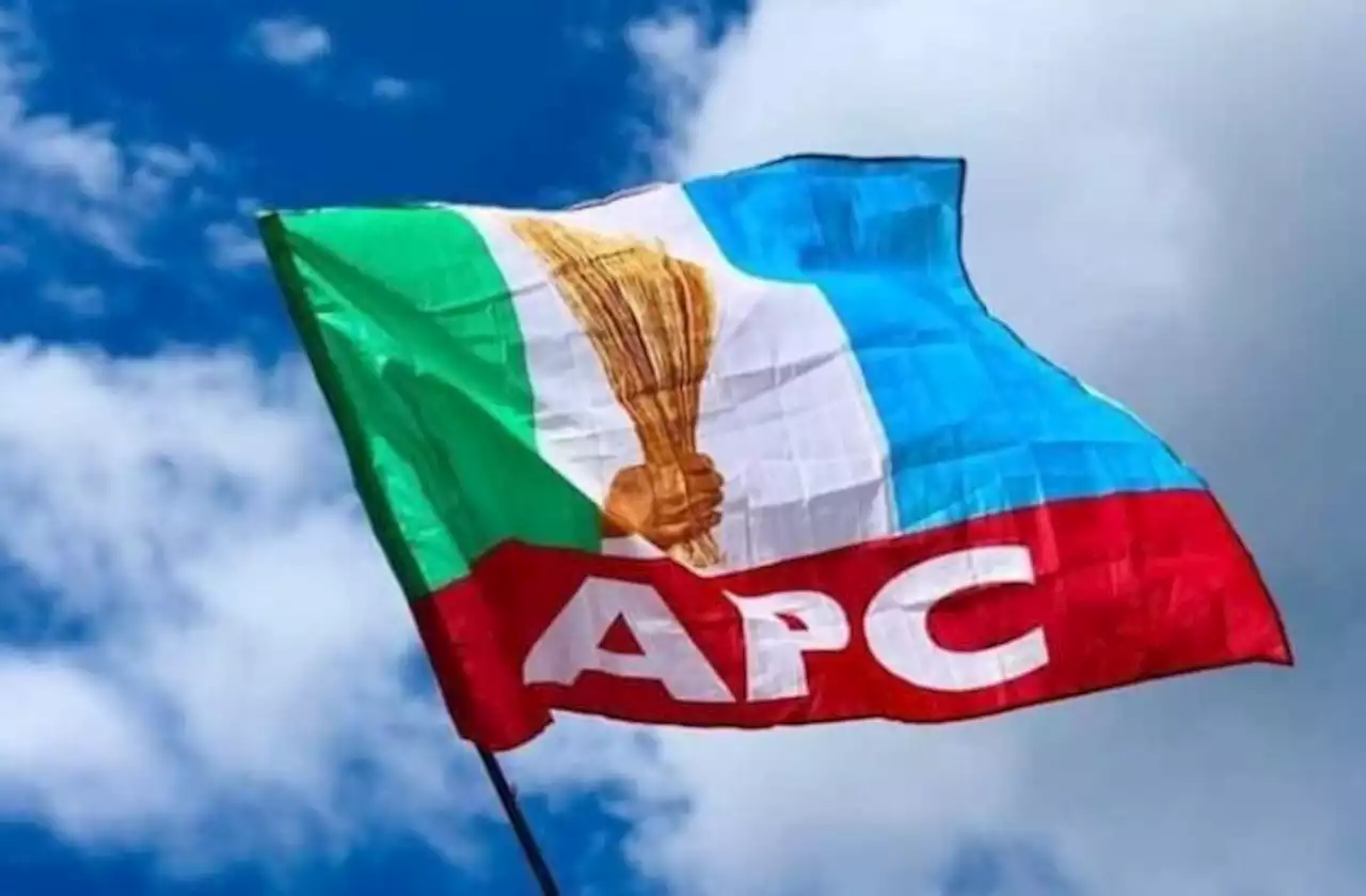 'An uncommon leader' -- Ondo APC commends Tinubu for replacing NDDC board nominees