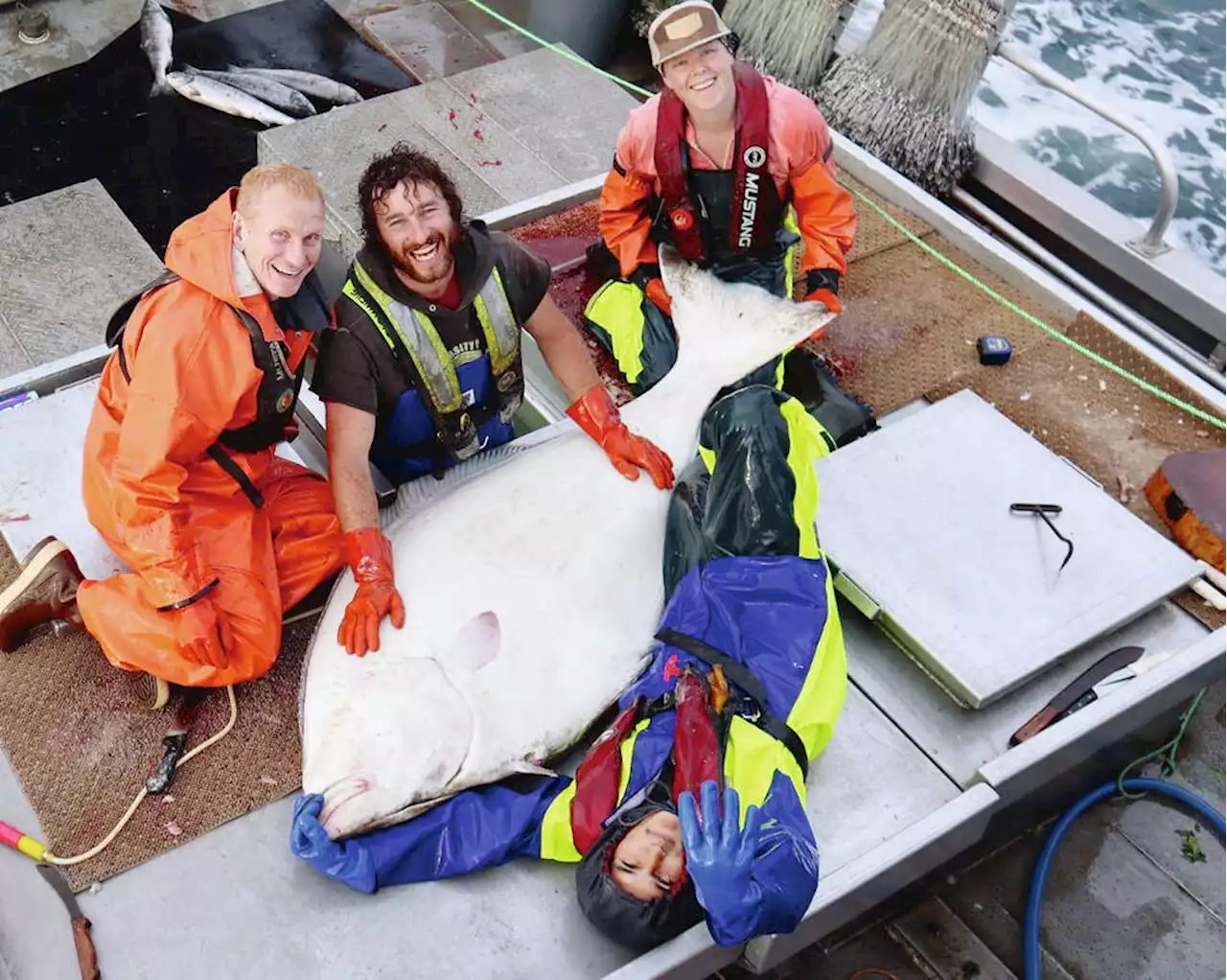 'Light of hope': B.C. researchers say some fish surviving heat waves better than once thought