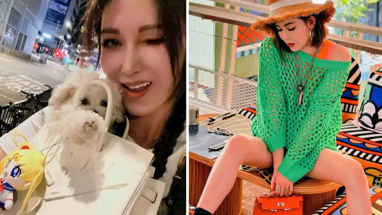 HK star Rain Li uses Hermes Birkin bag as dog carrier