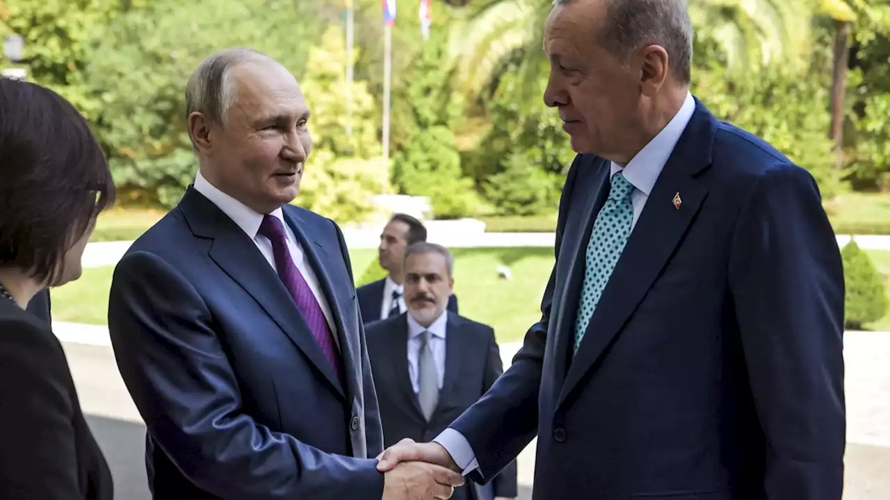 Top-News kompakt: Putin und Erdogan: Beratungen über Getreideabkommen gescheitert