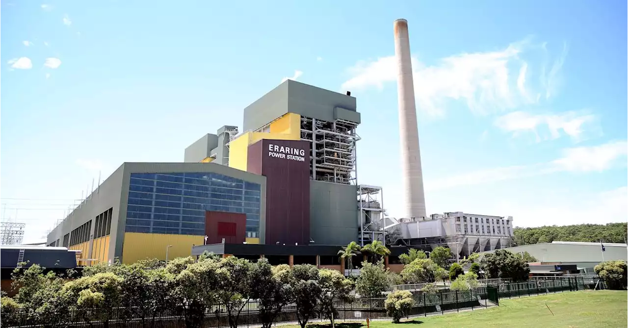 NSW government seeks to extend lifespan of Australia's largest coal-fired power plant