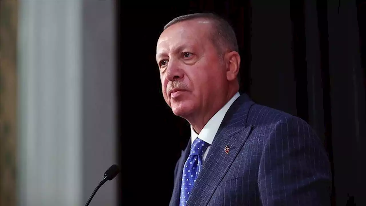 أردوغان تعليقا على اشتباكات دير الزور: 'بي كي كي' مجرد إرهابيين