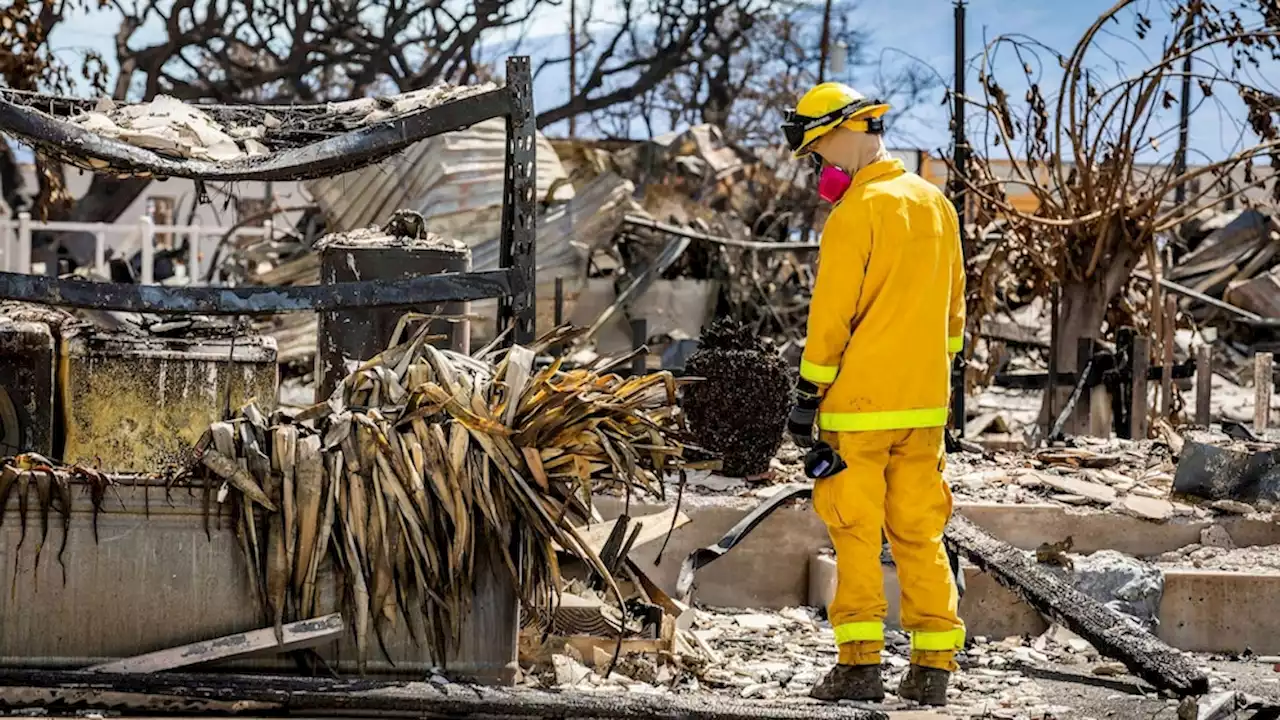 Latest out of Maui: The recovery, rebuilding begins after deadly wildfires