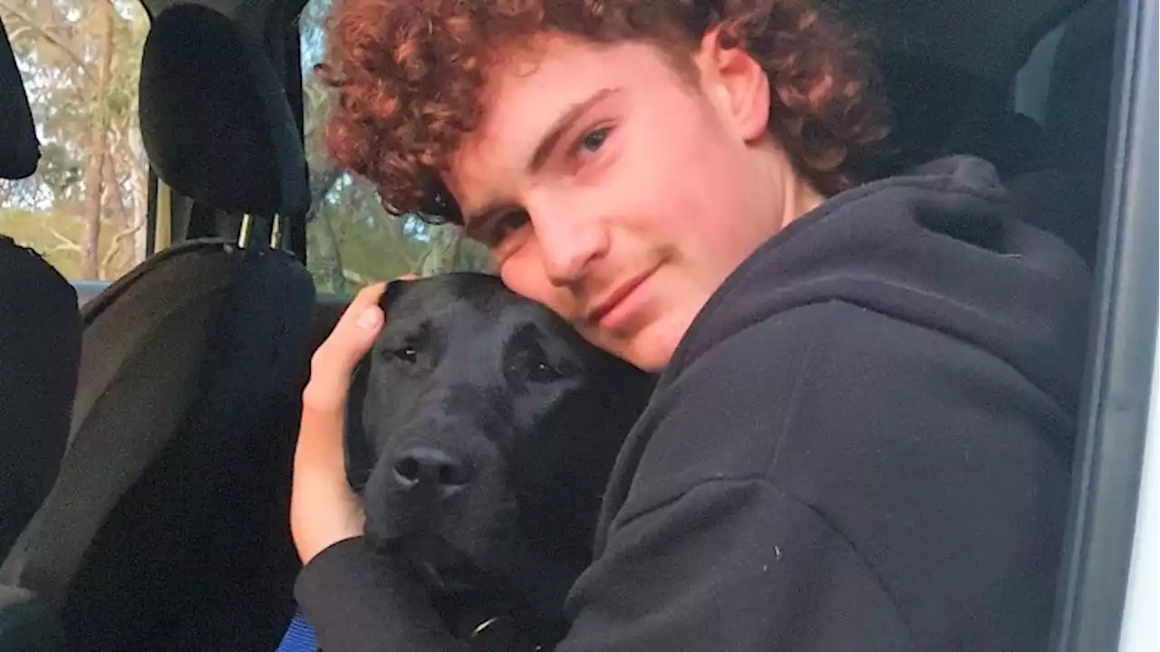 Labrador puppy rescued from abandoned mineshaft in Victoria