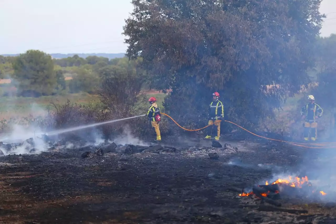 Feu de forêt dans le Gard : plus de 200 pompiers mobilisés et 52 hectares ravagés par les flammes