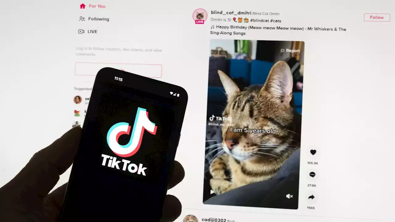 TikTok's Irish data center up and running as European privacy project gets under way