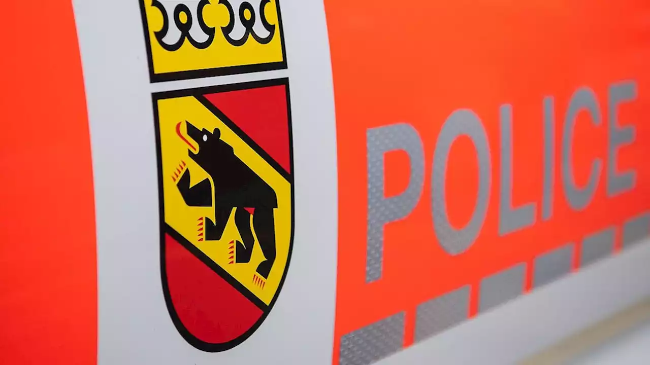 Polizist erschiesst Hund mit Dienstwaffe nach Bissattacke