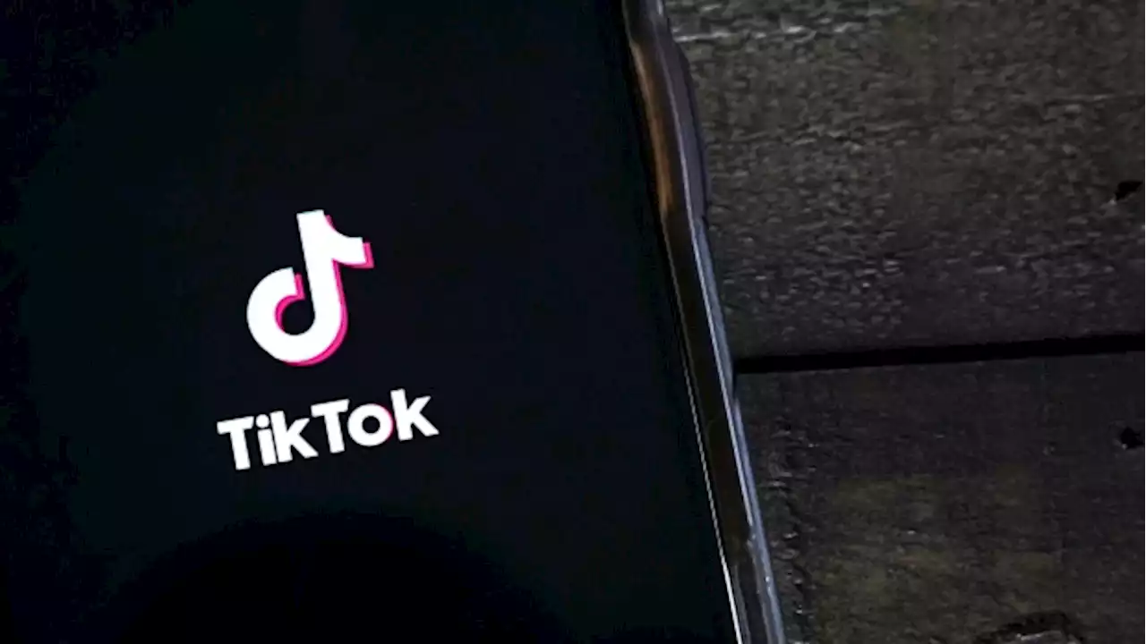 TikTok Hires UK Security Firm to Audit European Data Protection