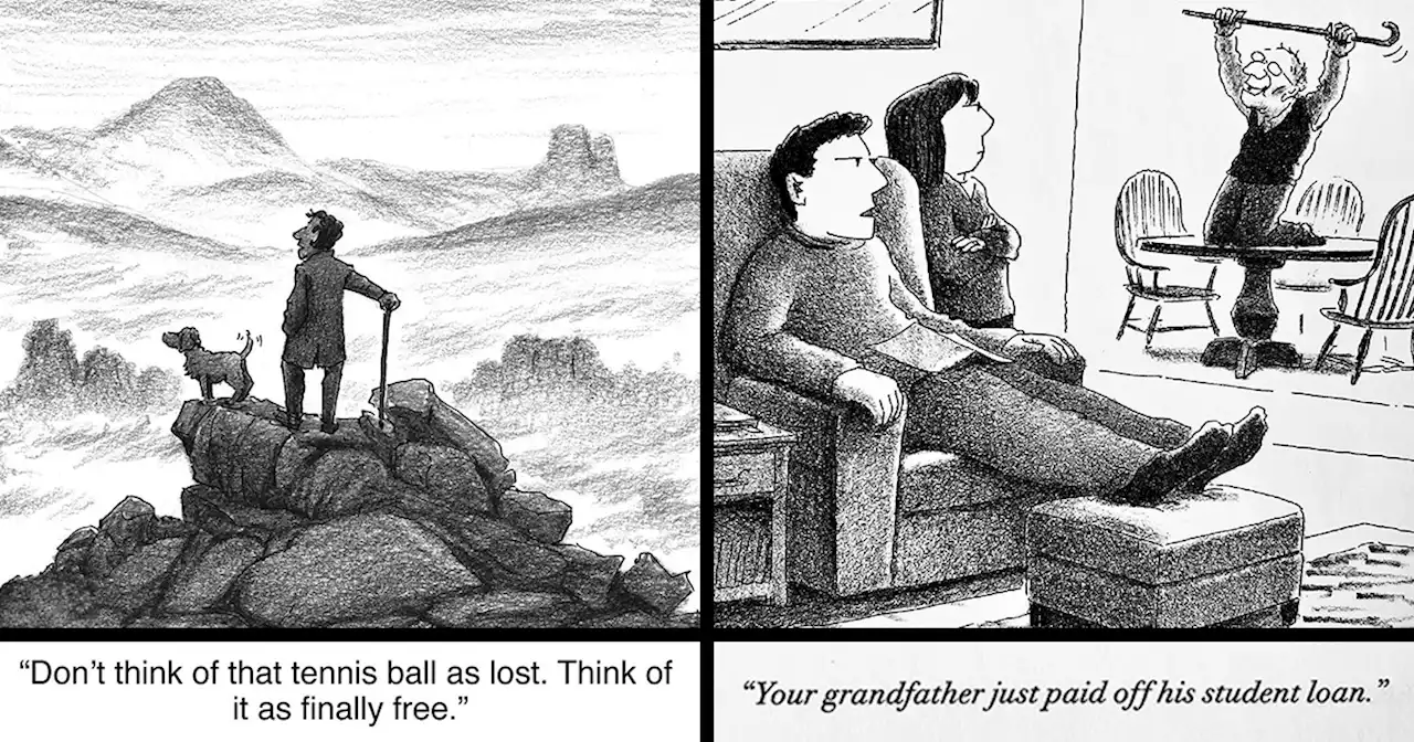 70 Comics That Poke Fun At Our Society, By New Yorker Magazine Cartoonist Harry Bliss