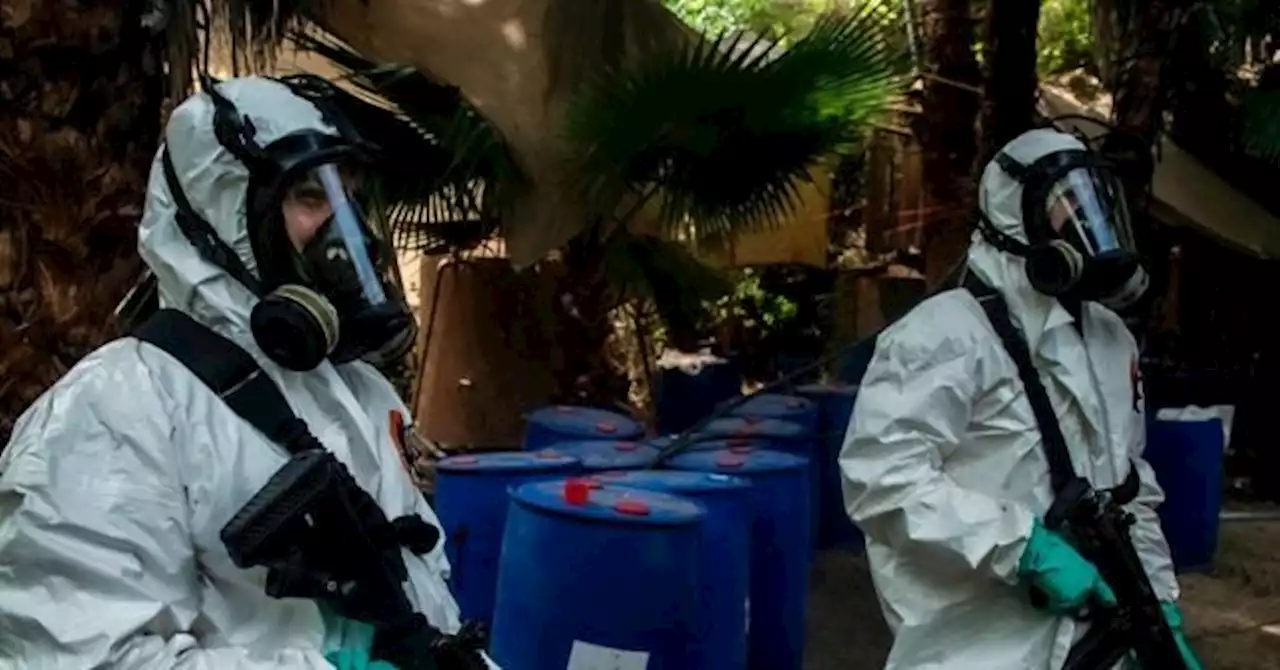 Sen. Grassley: Sinaloa Cartel Killed DEA Cooperators While Agency Played Politics with Indictments