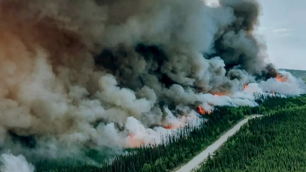 How Canada’s record-breaking wildfires are intensifying climate change