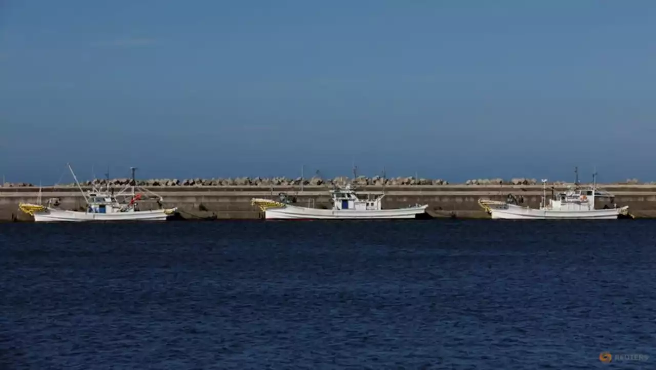 China's Fukushima-related seafood ban 'totally unacceptable': Japan to WTO