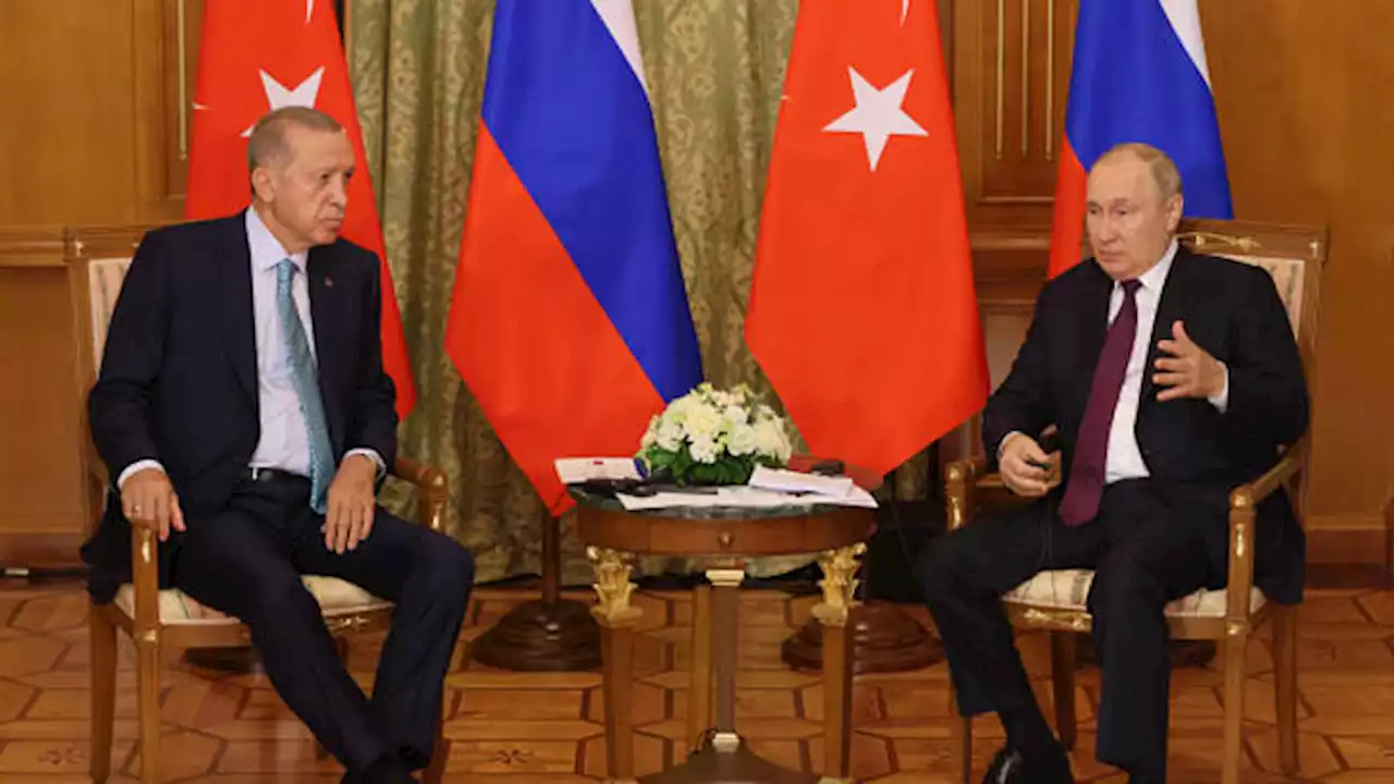 Turkey's Erdogan says Black Sea grain deal can be revived soon following talks with Putin