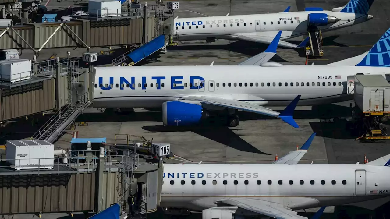 United retrasa todos sus vuelos en EE.UU. por una 'falla en los equipos'