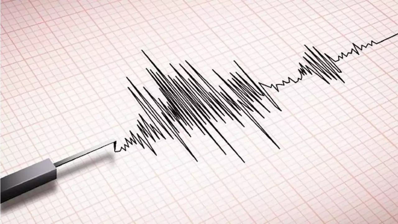 Gempa Guncang Aceh dan Papua Malam Ini, Tak Berpotensi Tsunami