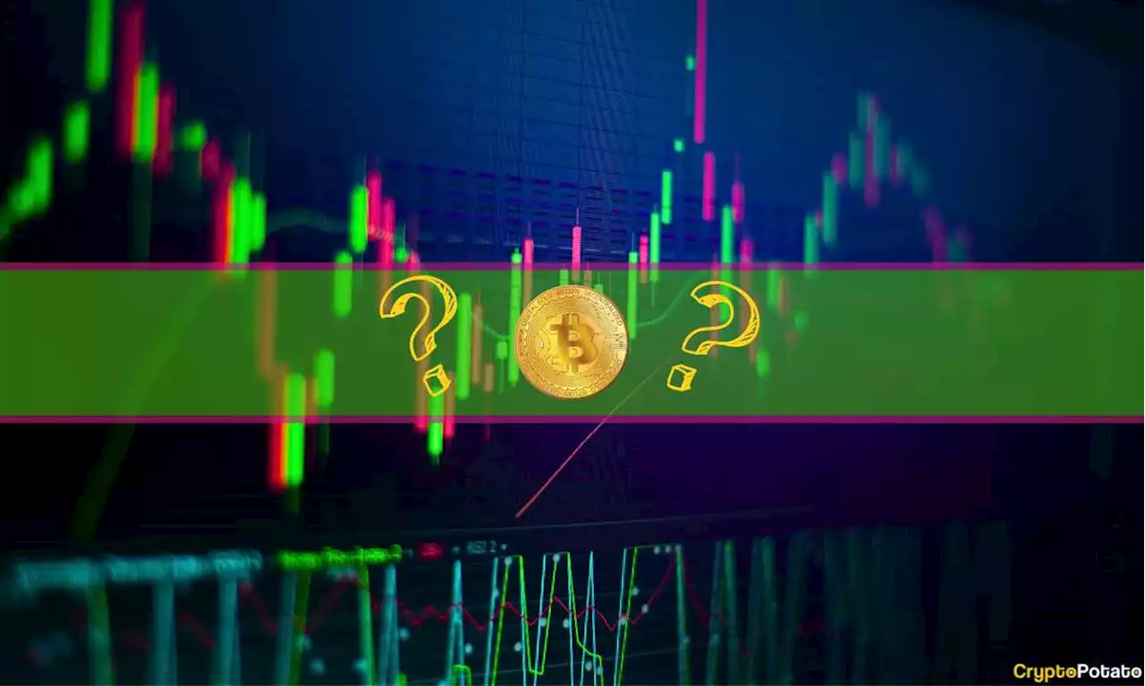 Bitcoin Flatlines Below $26K But These Altcoins Have it Worse (Market Watch)