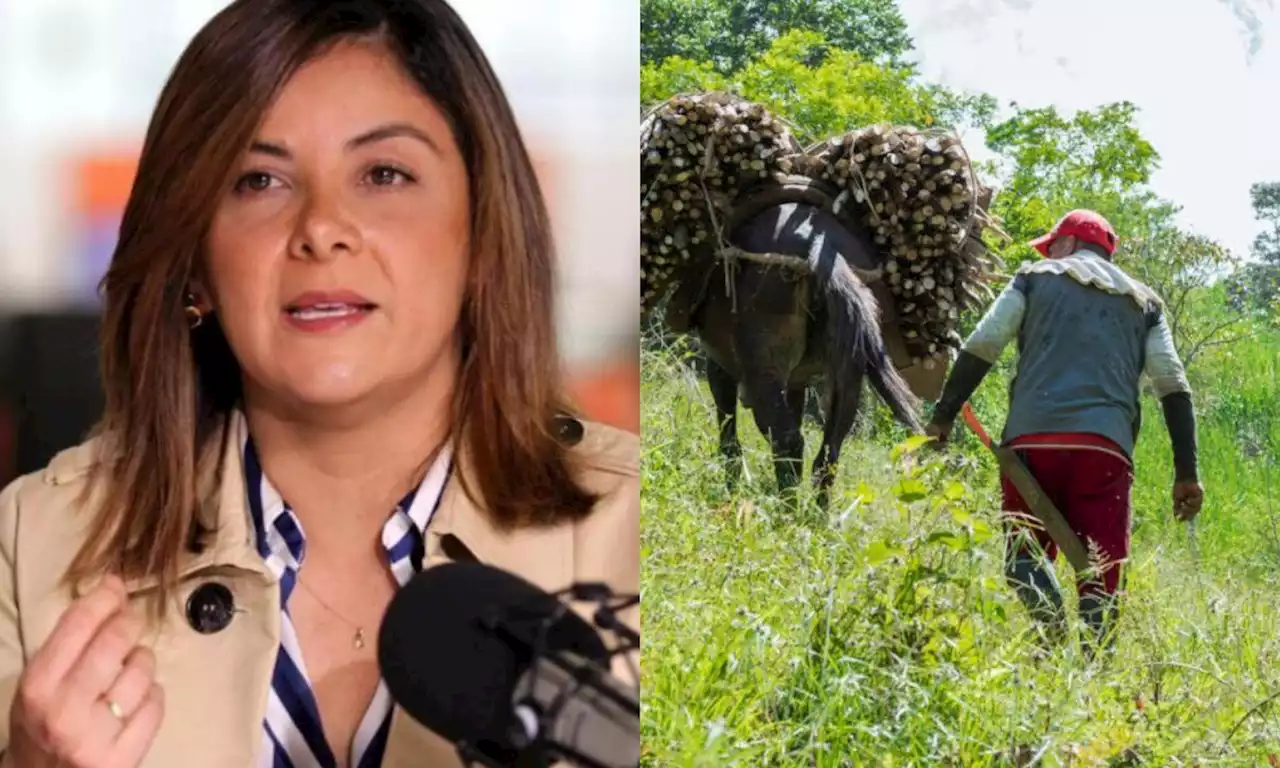 Qué se sabe del decreto que prepara el Gobierno para promover la movilización campesina