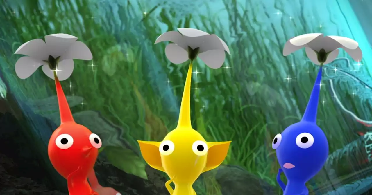 Nintendo's new mobile game lets you pluck Pikmin on your browser