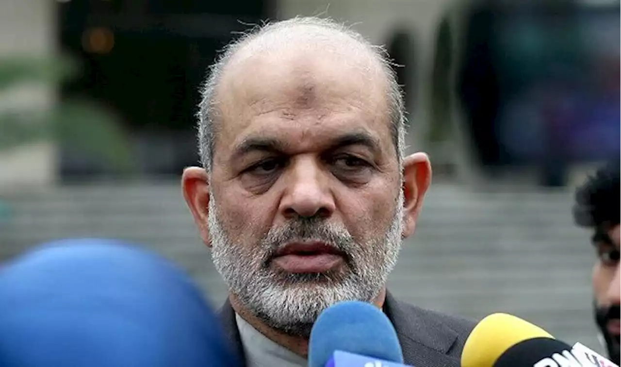 سابقۀ نظامی و امنیتی آقای وحیدی، سبب شیوع برخی خبرها در مورد «قدرت خاص و استثنایی» او در دولت شده؛ او تا حدِ حق وتو در درون کابینه برای خود قائل است