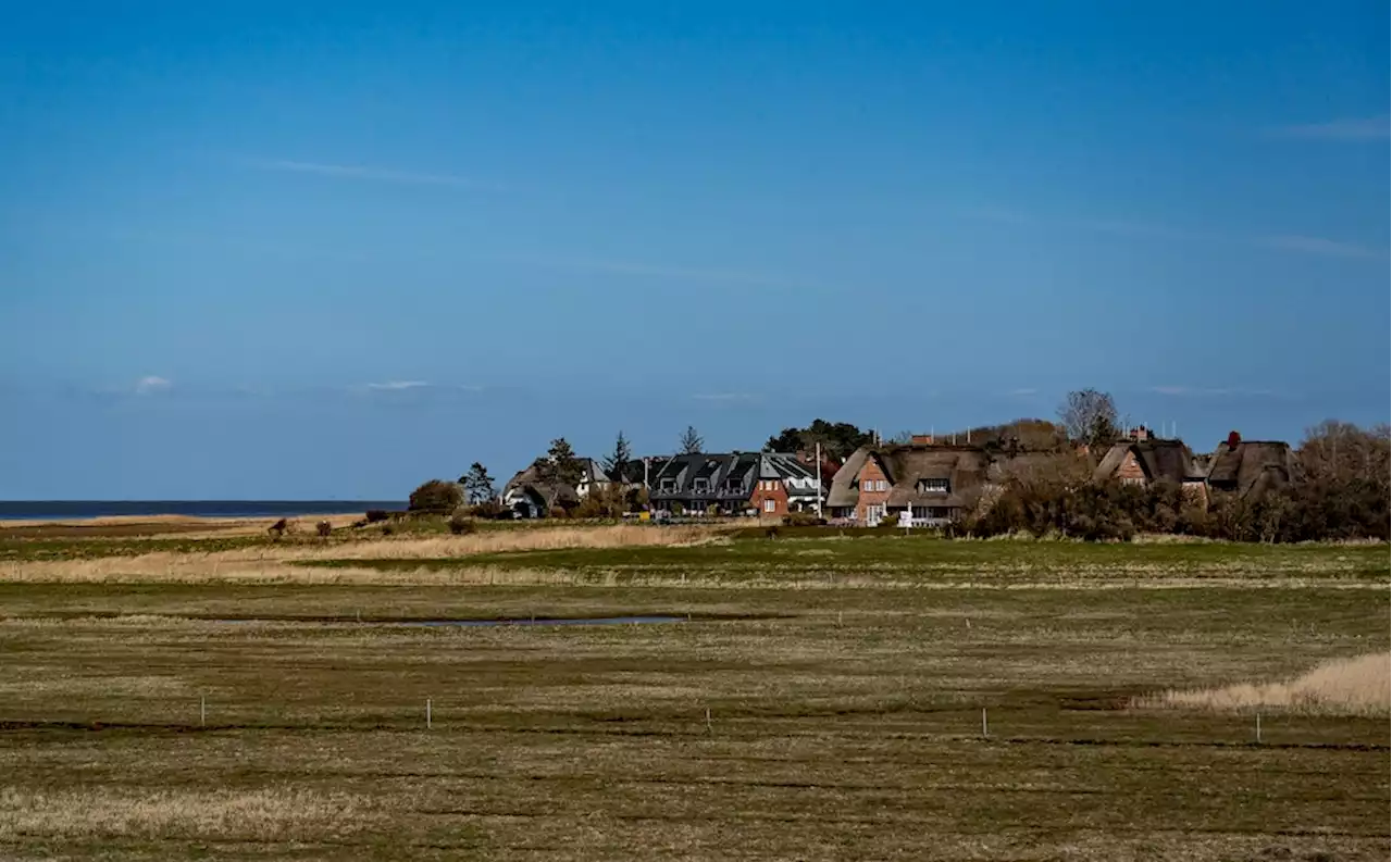 Er hat dort jahrelang im Hotel gearbeitet: Mafia-Mörder auf Sylt festgenommen