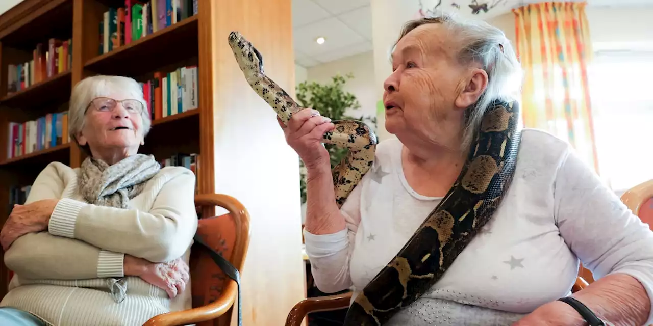 Tiertrainer André besucht Senioren mit Würgeschlange Lilly